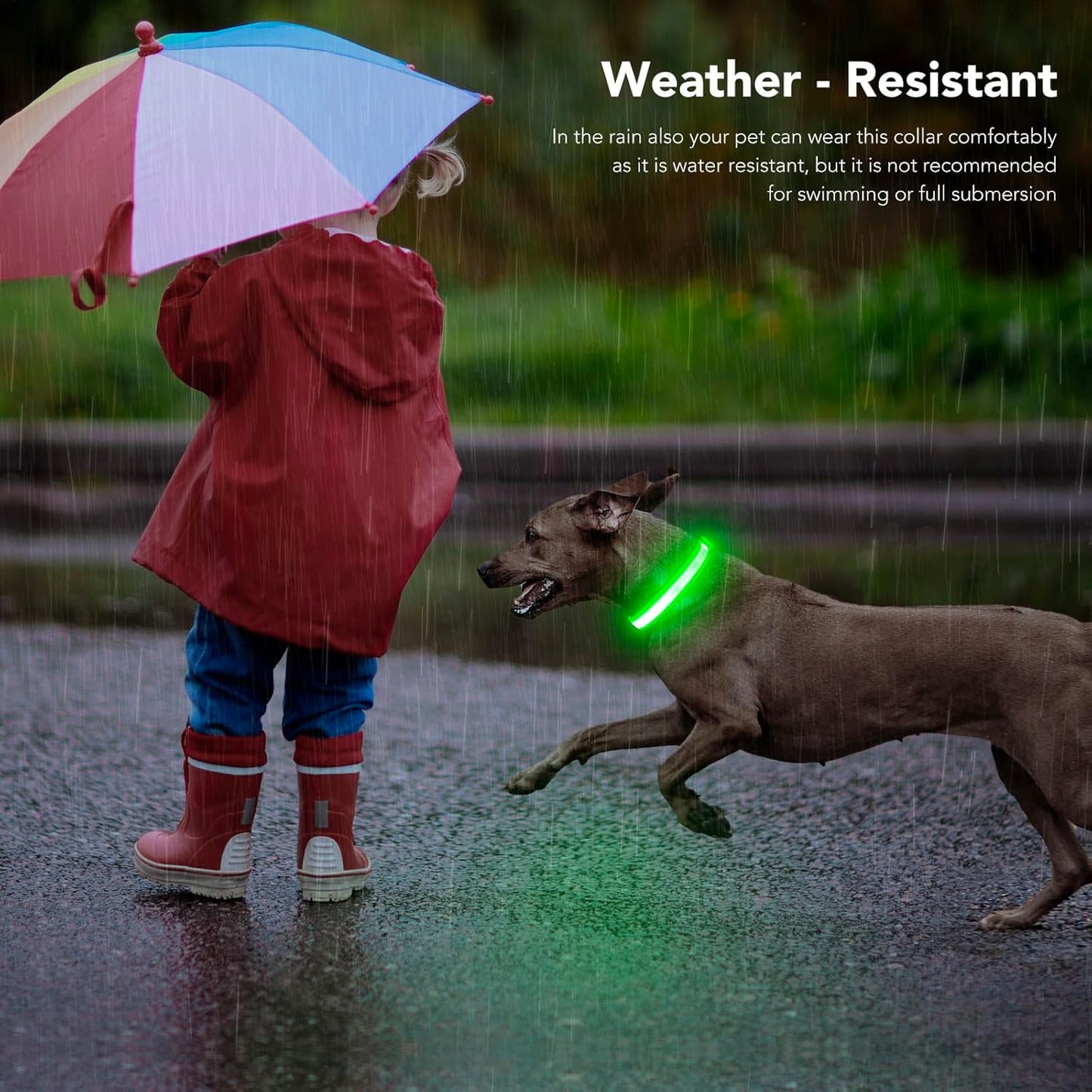 Rechargeable LED Dog Collar – Adjustable, Waterproof Glow Collar with 3 Light Modes for Night Walking