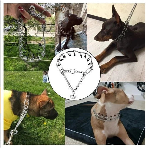 🐕 Heavy-Duty Steel Prong Dog Training Collar